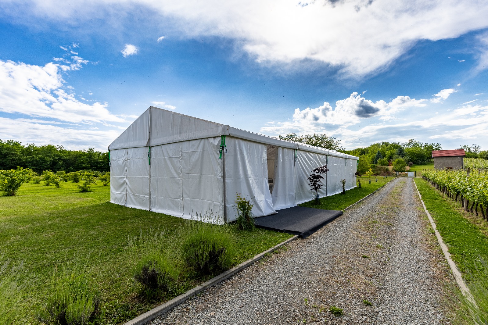 Kuća za odmor Azzuro – vjenčanja (1)