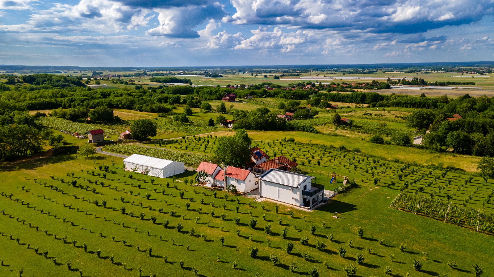 Kuća za odmor Azzuro – vjenčanja (12)