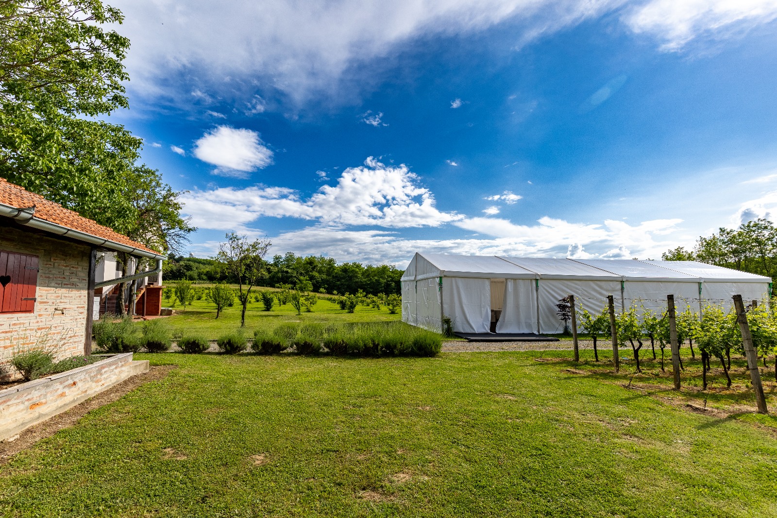 Kuća za odmor Azzuro – vjenčanja (13)