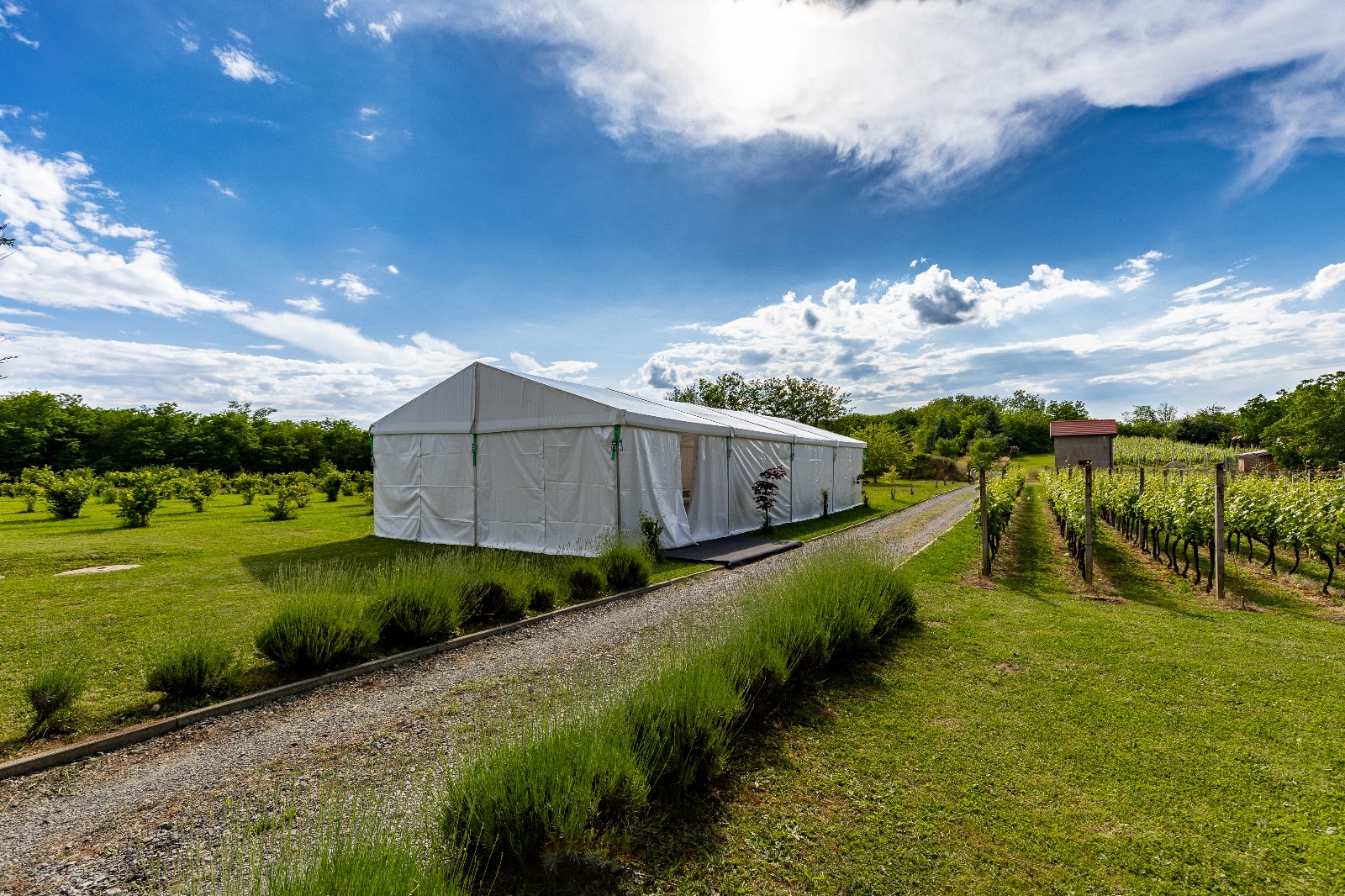 Kuća za odmor Azzuro – vjenčanja (14)