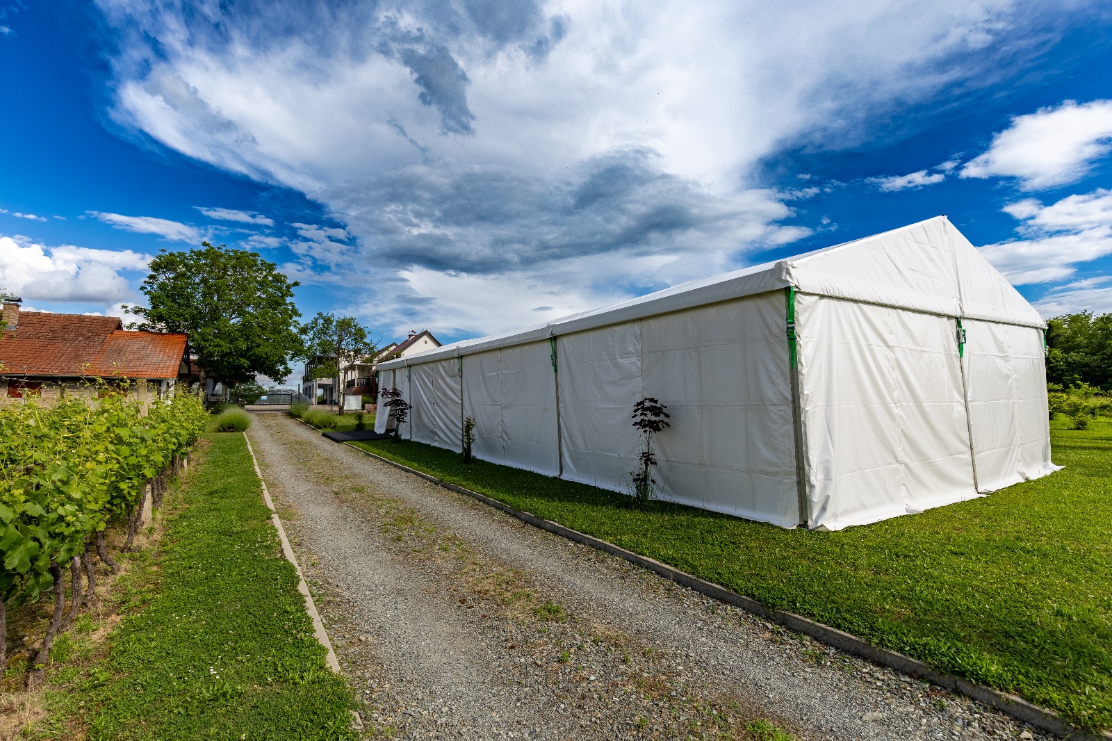 Kuća za odmor Azzuro – vjenčanja (2)