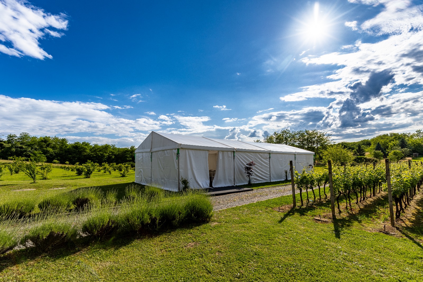 Kuća za odmor Azzuro – vjenčanja (3)