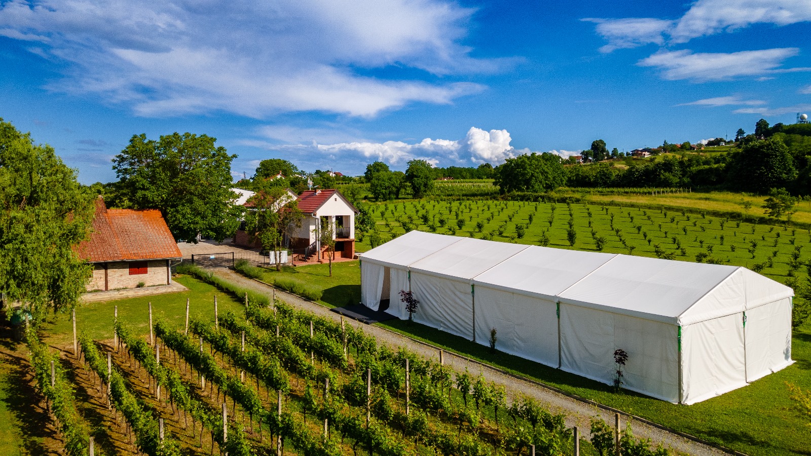 Kuća za odmor Azzuro – vjenčanja (6)
