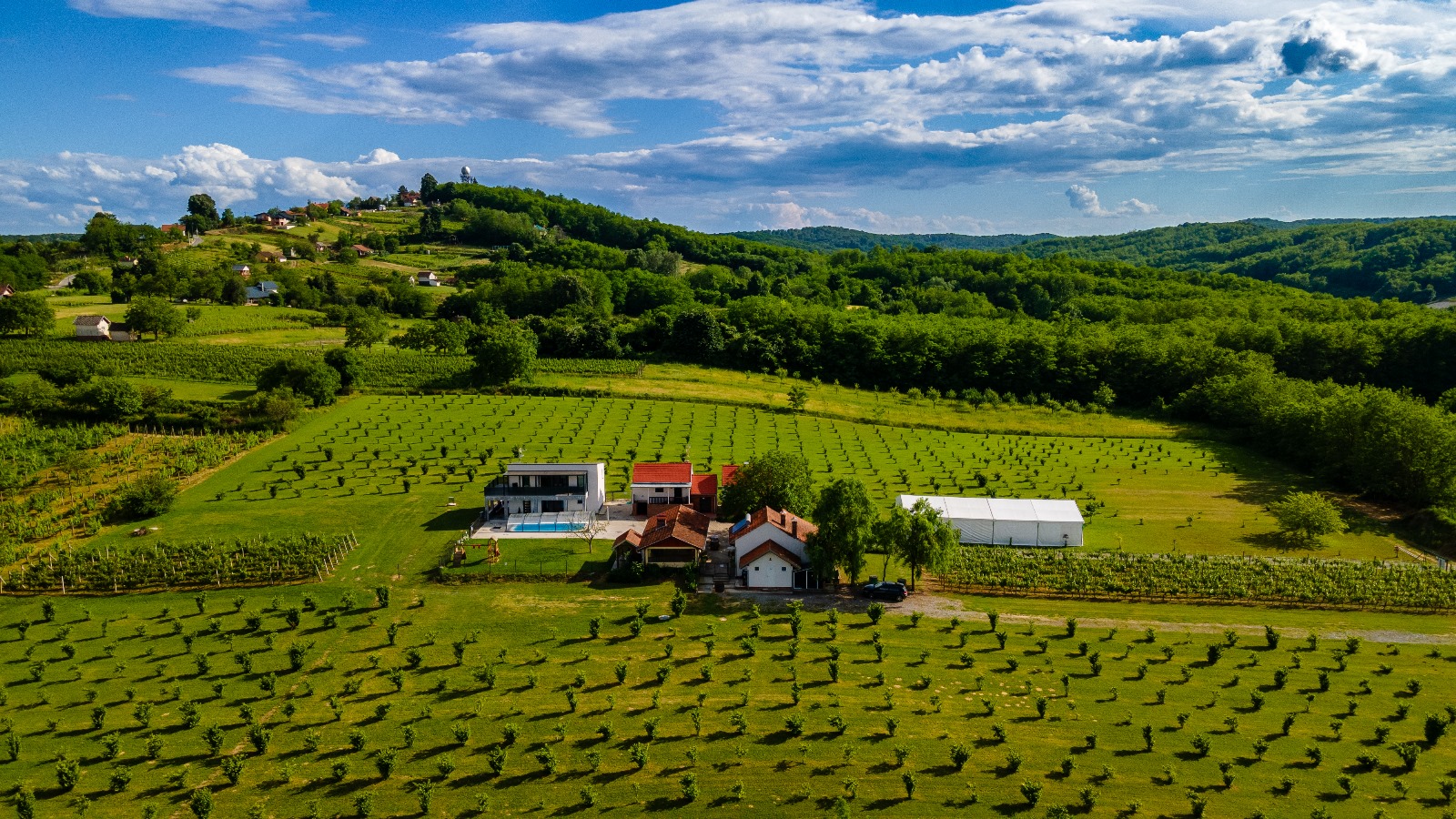 Kuća za odmor Azzuro – vjenčanja (9)